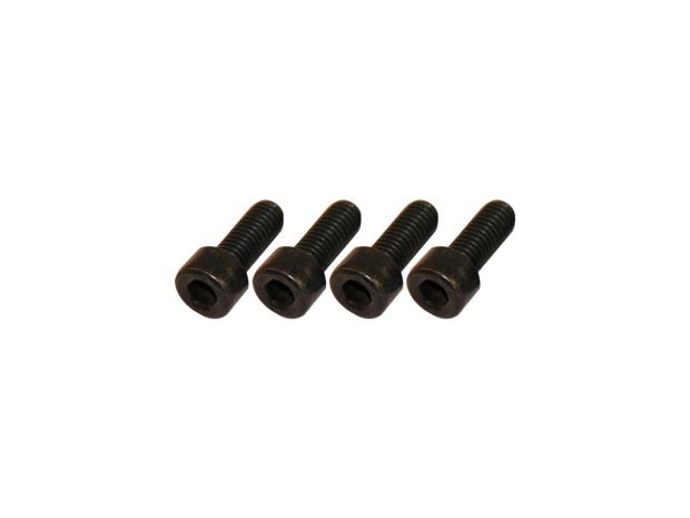 Front Fender Mounting Screws Black Galvanized 