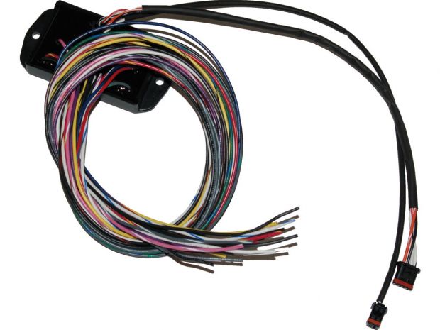 Bagger Can Bus Controller for Custom Handlebar Switches Can Bus Controller for Custom Handlebar Switches 