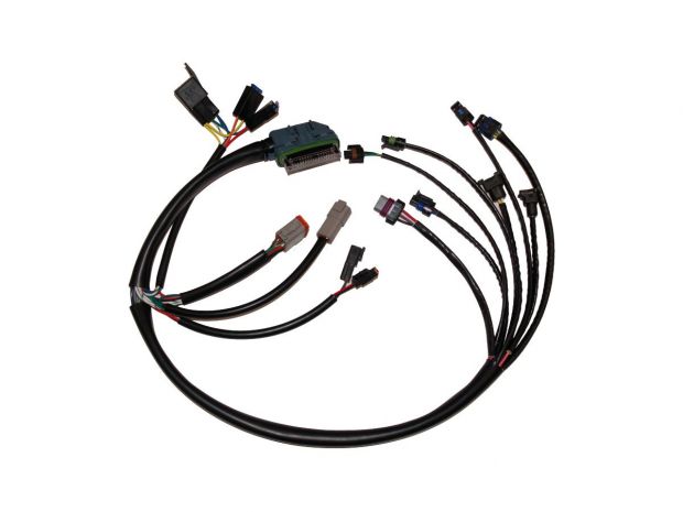 EFI Harness OEM, Complete EFI Harness 