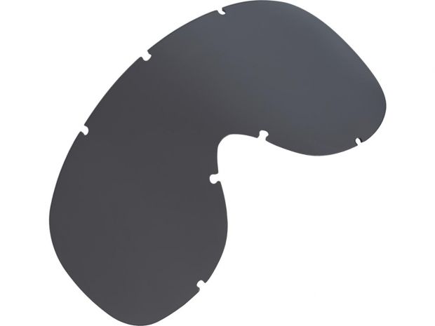 Arizona Google Lenses Dark Smoke