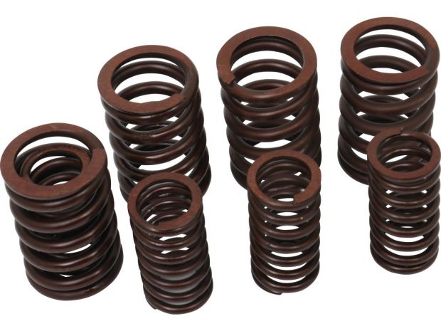 Valve Spring Kit Set of 4 Inner and Outer Valve Springs 