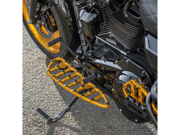 MX Driver Floorboards Gold Anodized 