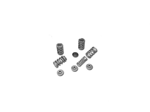Valve Spring Kits 
