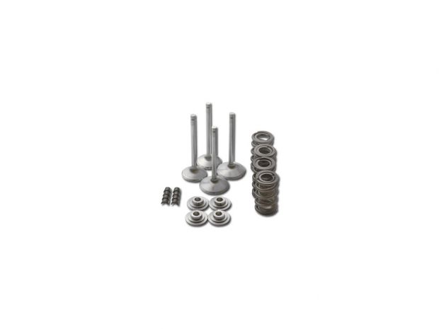 Race Master Valve Train Component Kit 